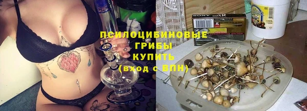2c-b Верея
