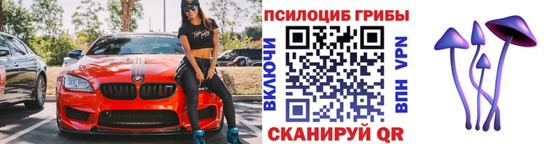 Псилоцибиновые грибы Psilocybe  Окуловка 