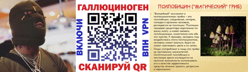 Галлюциногенные грибы Psilocybine cubensis Окуловка